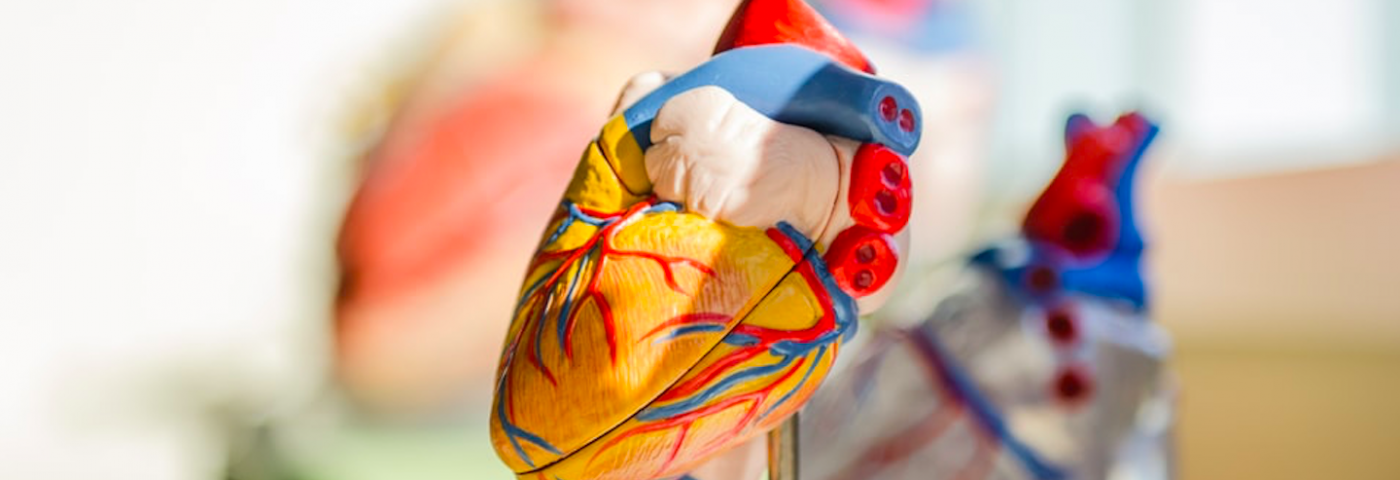 La science du coeur: les plus récentes découvertes