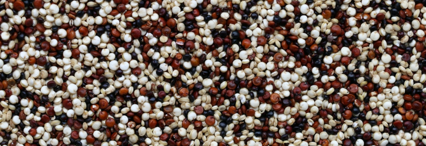 Farce au quinoa et aux canneberges pour dinde rôtie