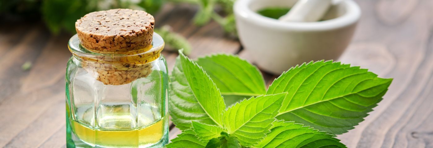 Savoir distinguer et apprécier les huiles essentielles de menthe