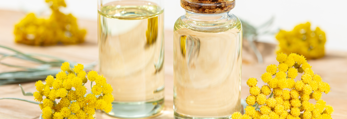Les propriétés exceptionnelles de l’huile essentielle d’hélichryse italienne