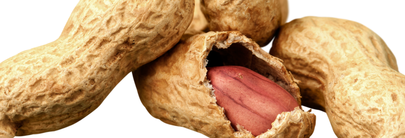 Les dix aliments du bonheur